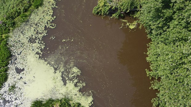 Une série d’ateliers régionaux dédié aux villes pour leur plan de milieux humides