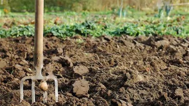 Un premier jardin communautaire bientôt créé à Blainville