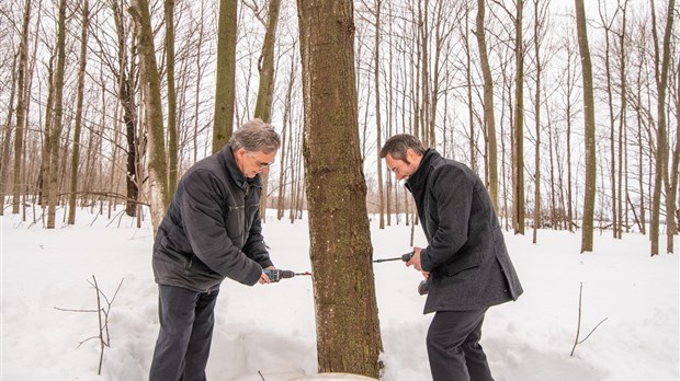 La saison des sucres officiellement lancée dans les Laurentides