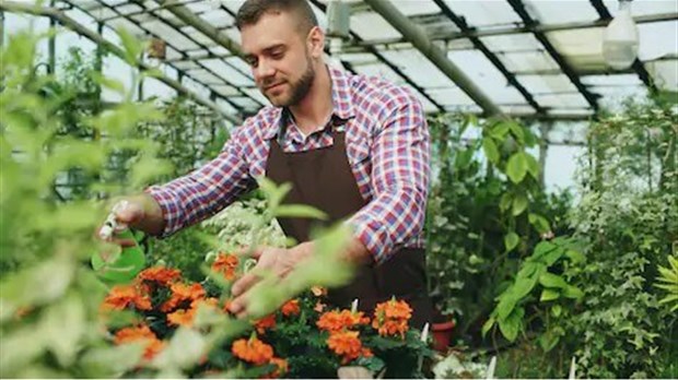Québec Vert demande la réouverture de tous les canaux de distribution des producteurs de végétaux du Québec