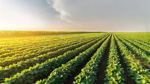 Sainte-Anne-des-Plaines annonce son programme de subvention pour l’affichage agricole