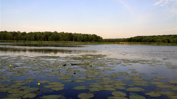 La direction de santé publique des Laurentides entérine les mesures déployées par la Sépaq pour la réouverture du parc national d’Oka