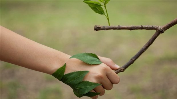 À Rosemère, un large éventail de sujets abordés au Forum sur l'environnement