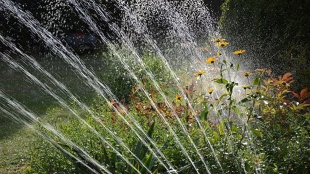 Mirabel soumise à une interdiction d'arrosage temporaire