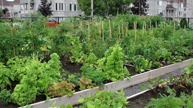 Jardin Le Boisé: Sainte-Thérèse investira 15 000$ pour contrer le vandalisme