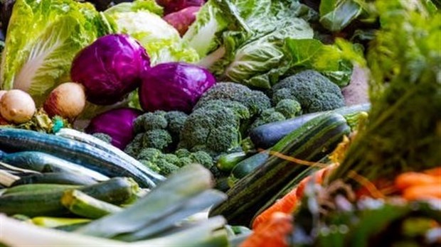 Le marché public de Blainville de retour en août et septembre