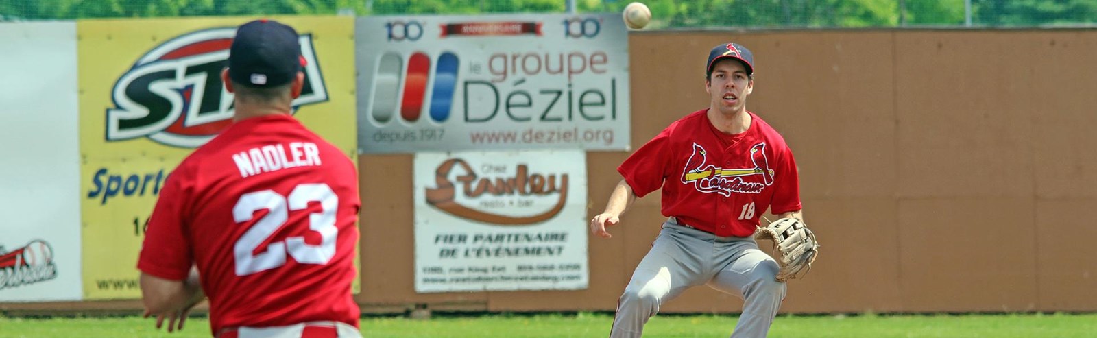 Ligue de baseball majeur du Québec: une semaine où tout est possible