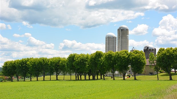 L’agroforesterie, une technique agricole alternative et écologique