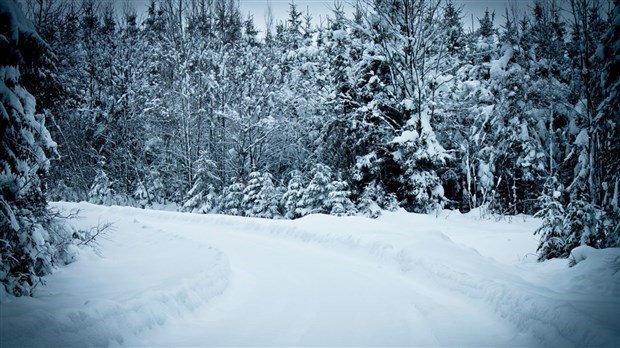 La MRC des Laurentides et le P’tit Train du nord rappellent les activités hivernales autorisées selon les différentes sections 