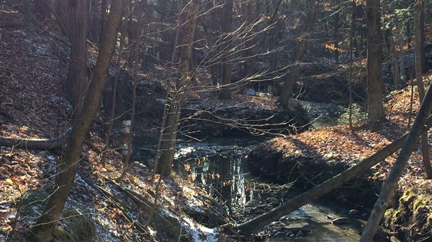 Début des travaux de stabilisation des talus du ruisseau Lamothe 