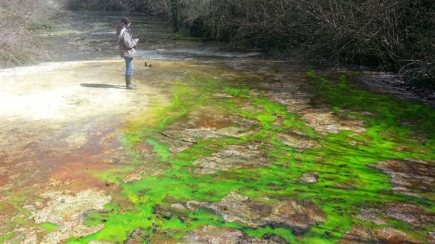 Un test de fluorescéine aujourd'hui au Jardin des Sources 