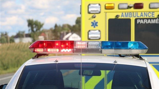 Un homme meurt après une collision avec un orignal dans les Laurentides