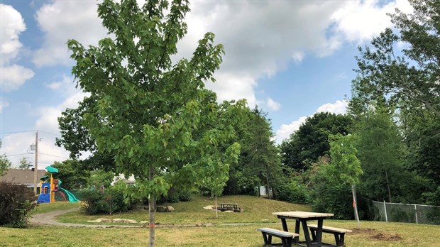 Deux-Montagnes s'engage pour le climat