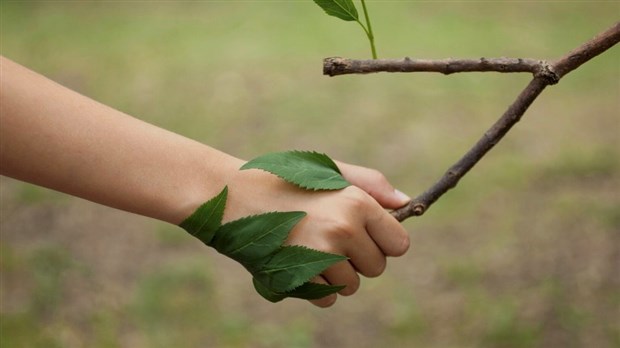 Forum sur l’environnement : Rosemère dévoile la programmation de sa seconde édition