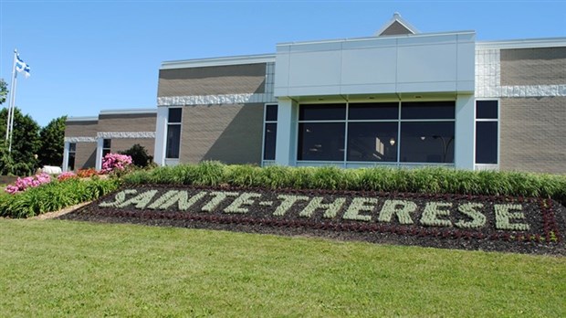 Sainte-Thérèse offre un programme aux citoyens pour le remplacement de frênes abattus