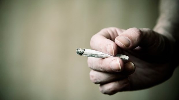 Conduite sous l'emprise du cannabis au Québec : quelles sanctions ?