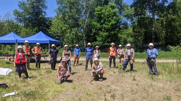 Biobltiz sur le terrain du Laboratoire Écoforestier du Grand Lièvre