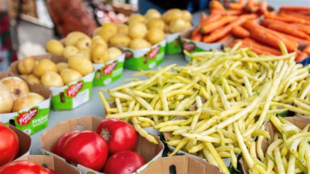 Le retour du marché public de Blainville