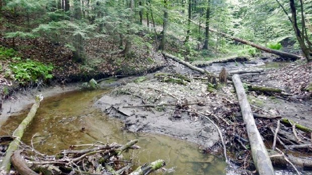 Travaux de stabilisation d’une section du ruisseau Charron