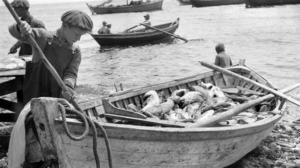 Voyagez dans le temps avec le Micromusée du Plan Bouchard