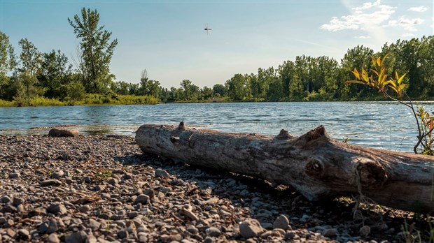 L’Espace pour la vie aux lacs Fauvel 