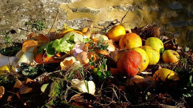 Un nouveau projet d’accompagnement pour détourner la matière organique de l’enfouissement  