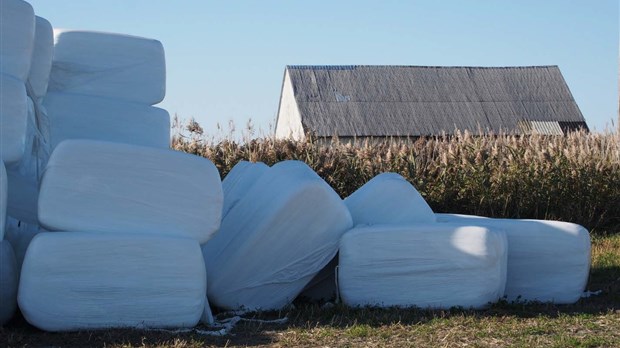 Omniprésence des pellicules plastiques dans les Laurentides