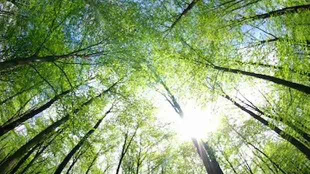 Un effort supplémentaire nécessaire pour rapprocher la nature de la population dans le sud du Québec