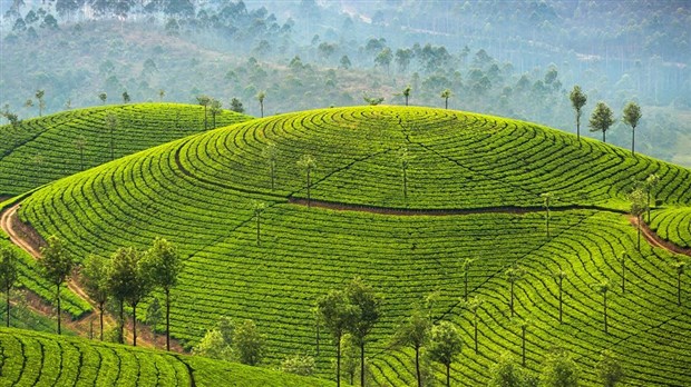 Découvrez une île aux trésors : le Sri Lanka, au  cinéma RGFM Joliette 