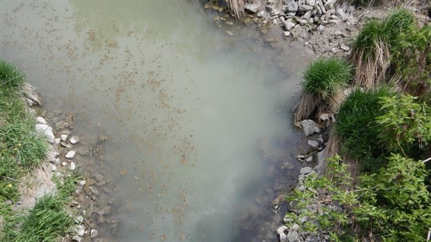 Abrinord continue d’échantillonner les cours d’eau de son territoire, un suivi entamé en 2010