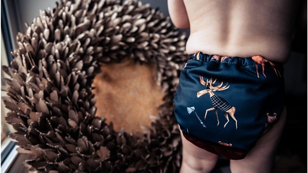 Nouveau programme de subvention en faveur du développement durable