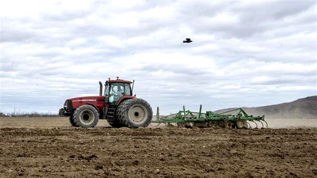 Planter des arbres en terres agricoles en échange de crédit carbone