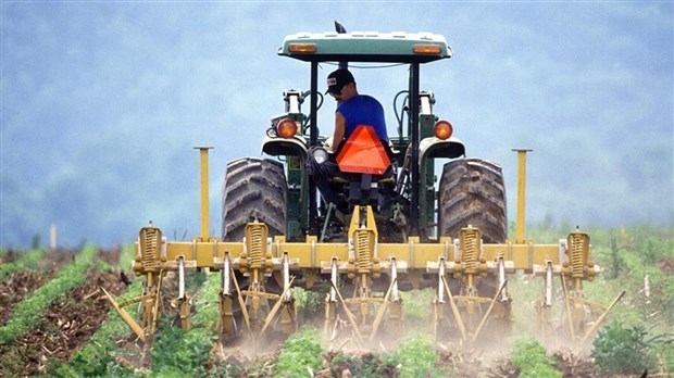 Le gouvernement du Canada lance des consultations pour orienter la stratégie nationale sur la main-d'œuvre agricole