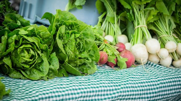 Lancement de la deuxième saison du Marché public de Saint-Lin-Laurentides