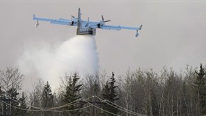 Les fortes chaleurs annoncées au Québec cette semaine favorisent les feux de forêt