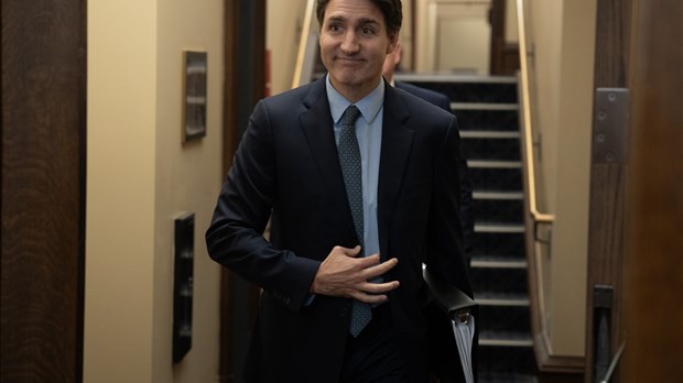 Les libéraux veulent offrir un congé de TPS sur certains produits à Noël