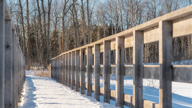 Des investissements pour entretenir et développer les actifs de la Ville