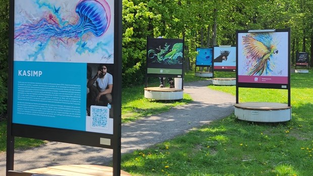 Appel aux photographes pour la 3e édition du Sentier artistique