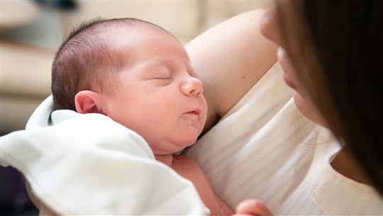 La Ville de Sainte-Thérèse invite les familles et les aînés à un sondage 
