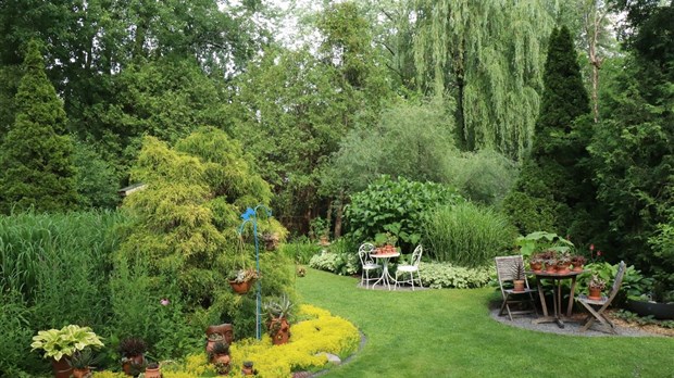 Une 35e année pour Rosemère en fleurs 