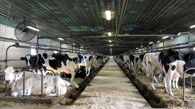 Des fermes des Laurentides participent aux portes ouvertes Mangeons local 