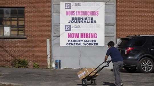 Les conservateurs dévoilent un plan pour lutter contre le chômage élevé des jeunes