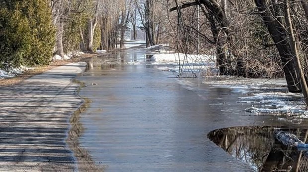 Une consultation publique pour le Plan Climat de la MRC des Laurentides