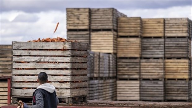 L'Union nationale des fermiers demande un revenu annuel garanti pour les agriculteurs