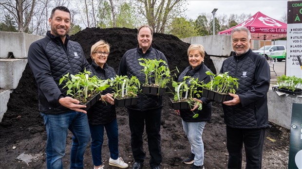 La Ville de Lorraine distribue 700 caissettes de plants à la population