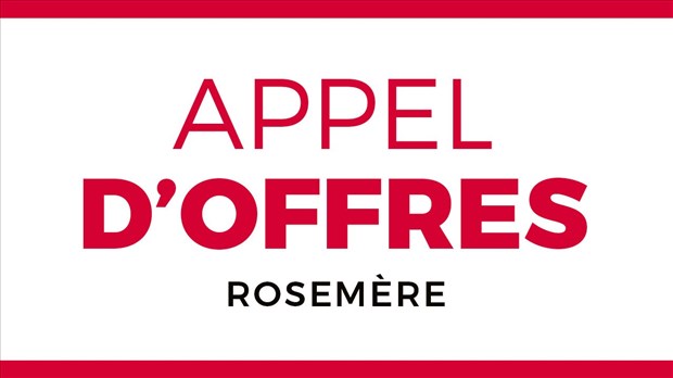 Appel d'offres : Services professionnels pour l’audit externe des rapports financiers annuels et autres rapports complémentaires