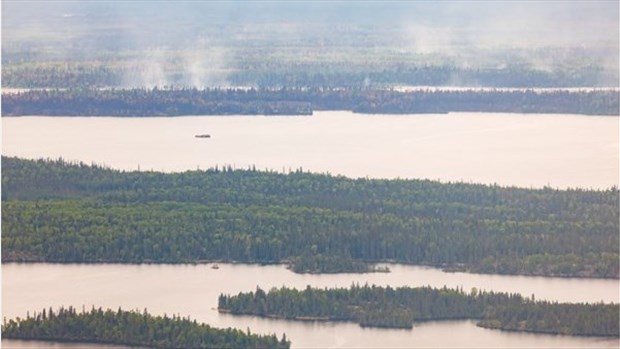 La fumée représente un défi pour les producteurs alimentaires canadiens