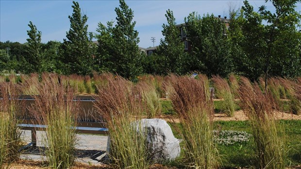 Un nouvel accès au ruisseau Charron au parc Isaac-Rawas