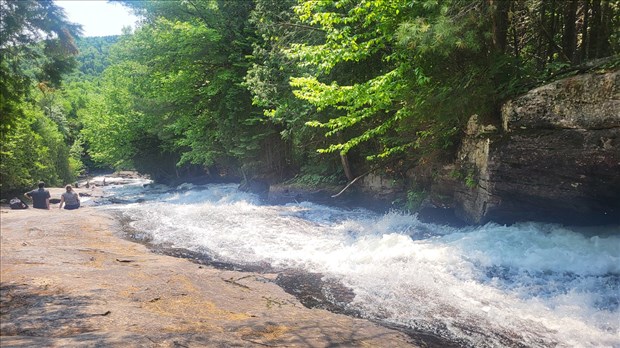 La découverte de la nature des Laurentides accessible sans voiture 