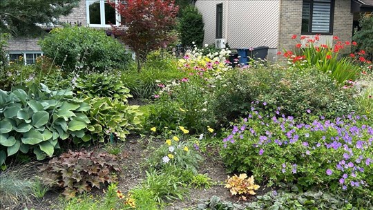 Dévoilement des lauréats de la troisième Sainte-Thérèse la florissante